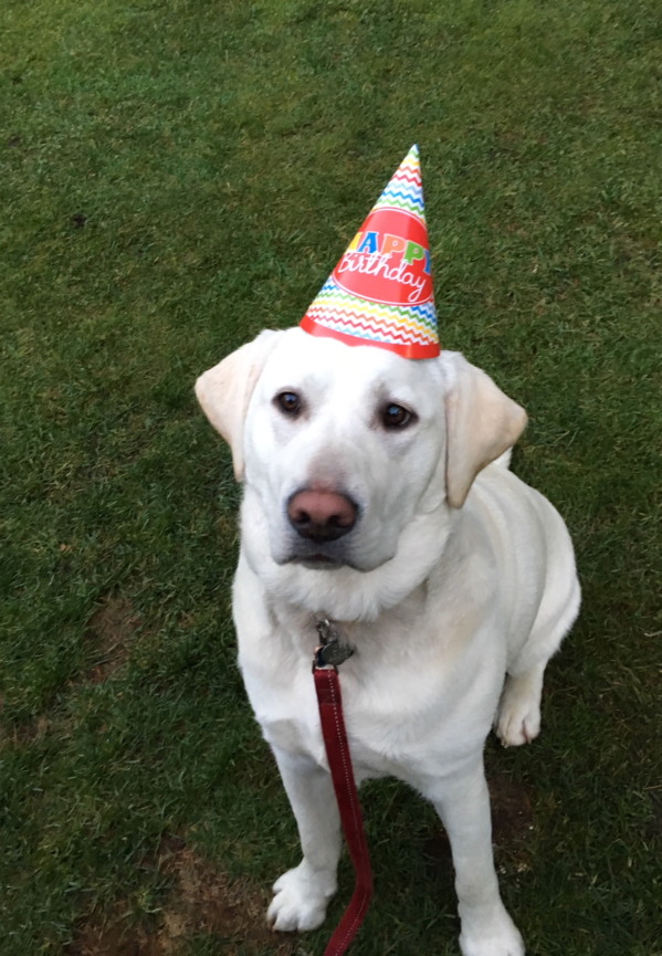 Charlie, one year old at his party