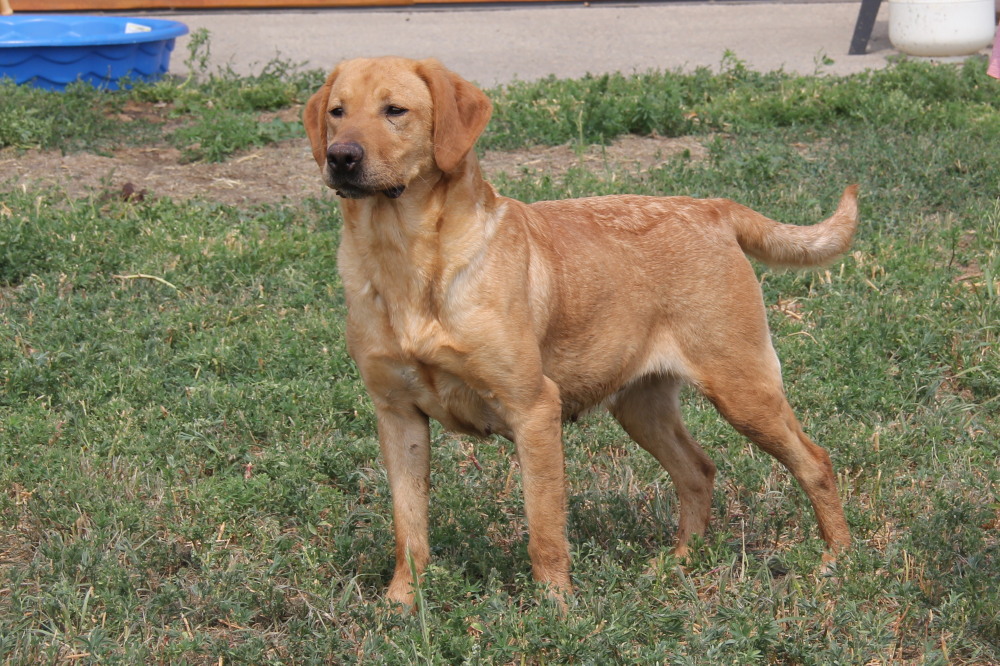 Samantha, female